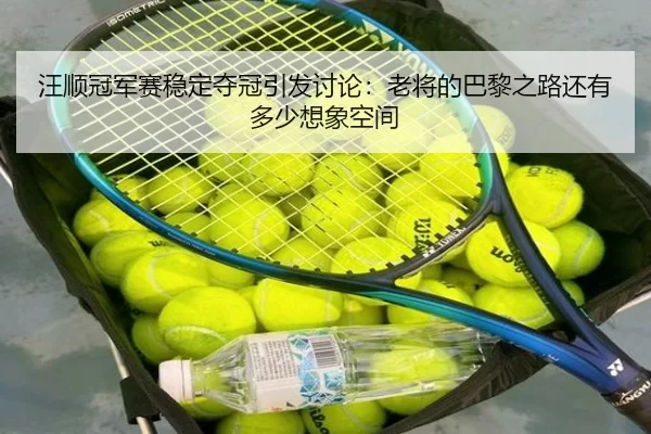 汪顺冠军赛稳定夺冠引发讨论：老将的巴黎之路还有多少想象空间